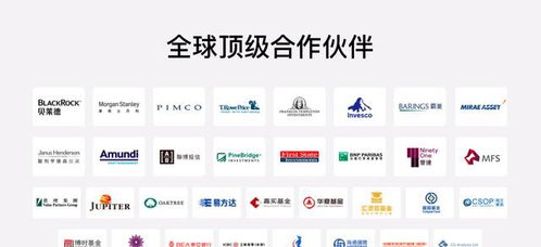 財(cái)富管理品牌全新升級 富途大象財(cái)富布局全球資產(chǎn)配置